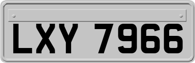 LXY7966