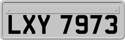 LXY7973
