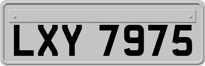 LXY7975