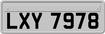LXY7978