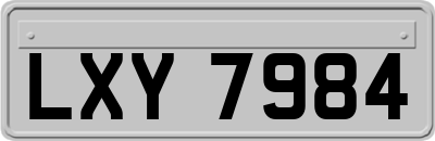 LXY7984