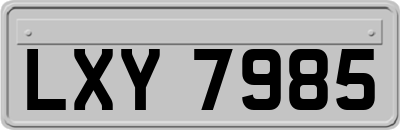 LXY7985