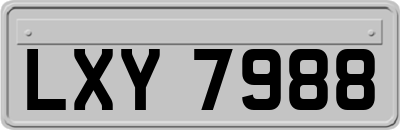 LXY7988