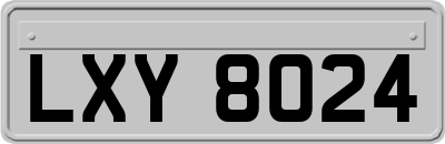 LXY8024