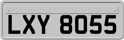 LXY8055