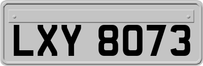 LXY8073