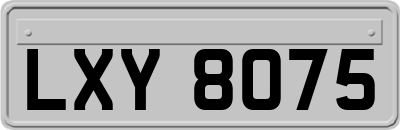 LXY8075