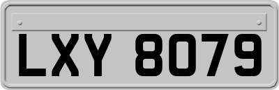 LXY8079