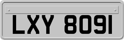 LXY8091