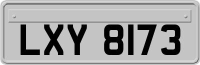 LXY8173