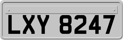 LXY8247