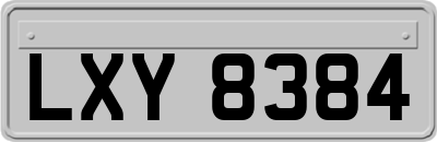 LXY8384
