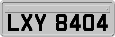 LXY8404