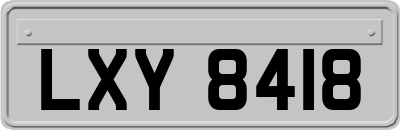 LXY8418