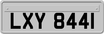 LXY8441