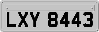 LXY8443