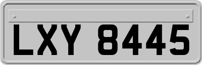 LXY8445
