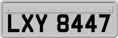 LXY8447
