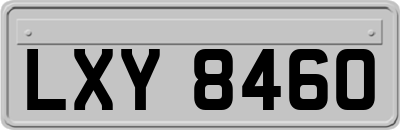 LXY8460