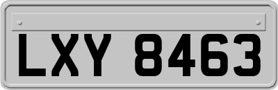 LXY8463