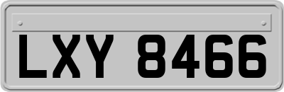 LXY8466