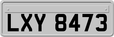 LXY8473