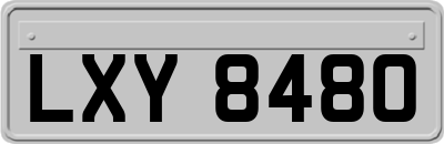 LXY8480