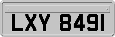 LXY8491