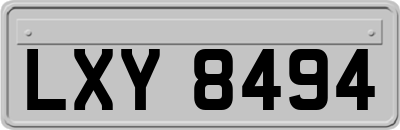 LXY8494