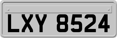 LXY8524