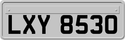 LXY8530