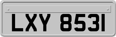 LXY8531