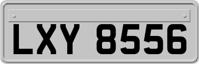 LXY8556