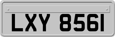 LXY8561