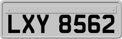LXY8562