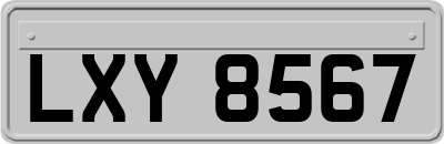 LXY8567