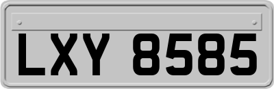 LXY8585
