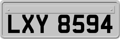 LXY8594
