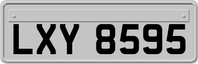 LXY8595