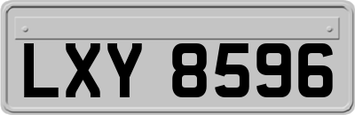 LXY8596