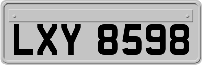 LXY8598