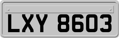 LXY8603