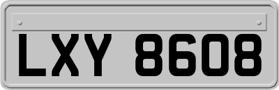 LXY8608