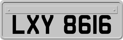 LXY8616