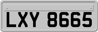 LXY8665