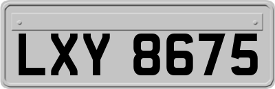 LXY8675