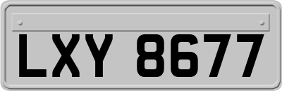 LXY8677