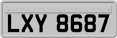 LXY8687