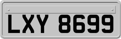 LXY8699