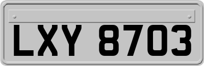 LXY8703